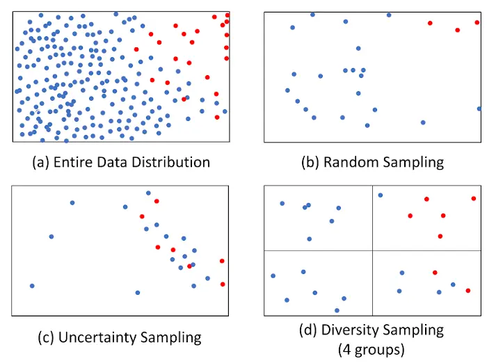 Diversity