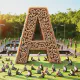 Letter A