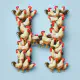 Letter H