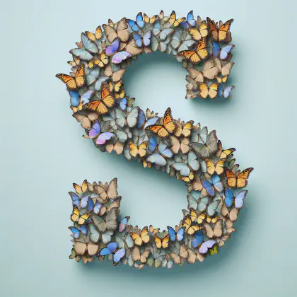 /letters/S_Schmetterling_Butterfly.webp